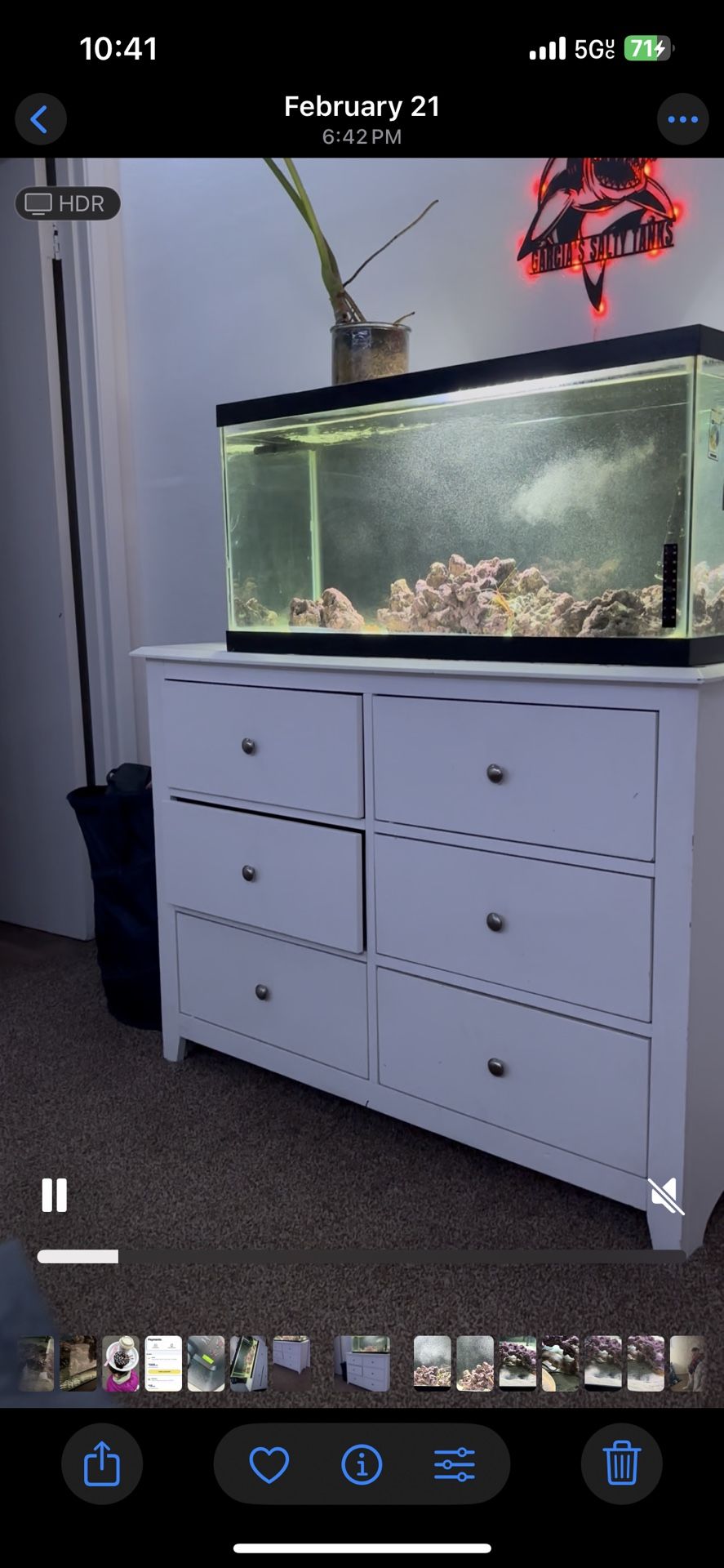 40 G Tank
