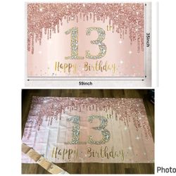 13th birthday backdrop