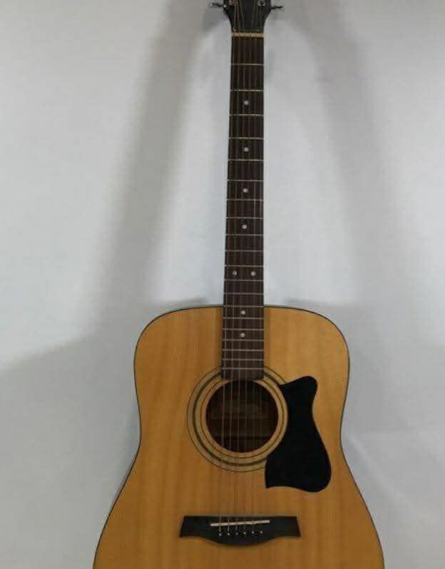 Ibanez Guitar