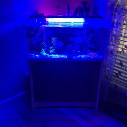 Fluval flex 32 