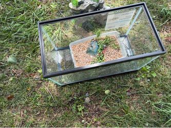 Ten Gallon Aquarium Includes Rocks Plants and Castle Rocks