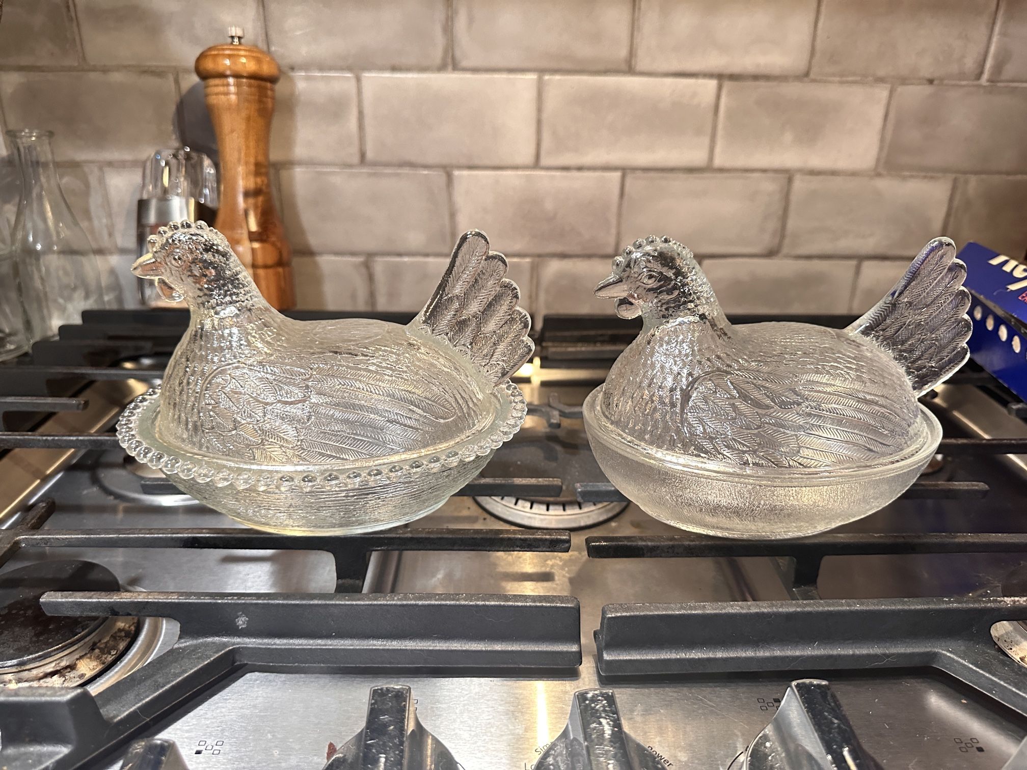 Indiana Hens On Nest