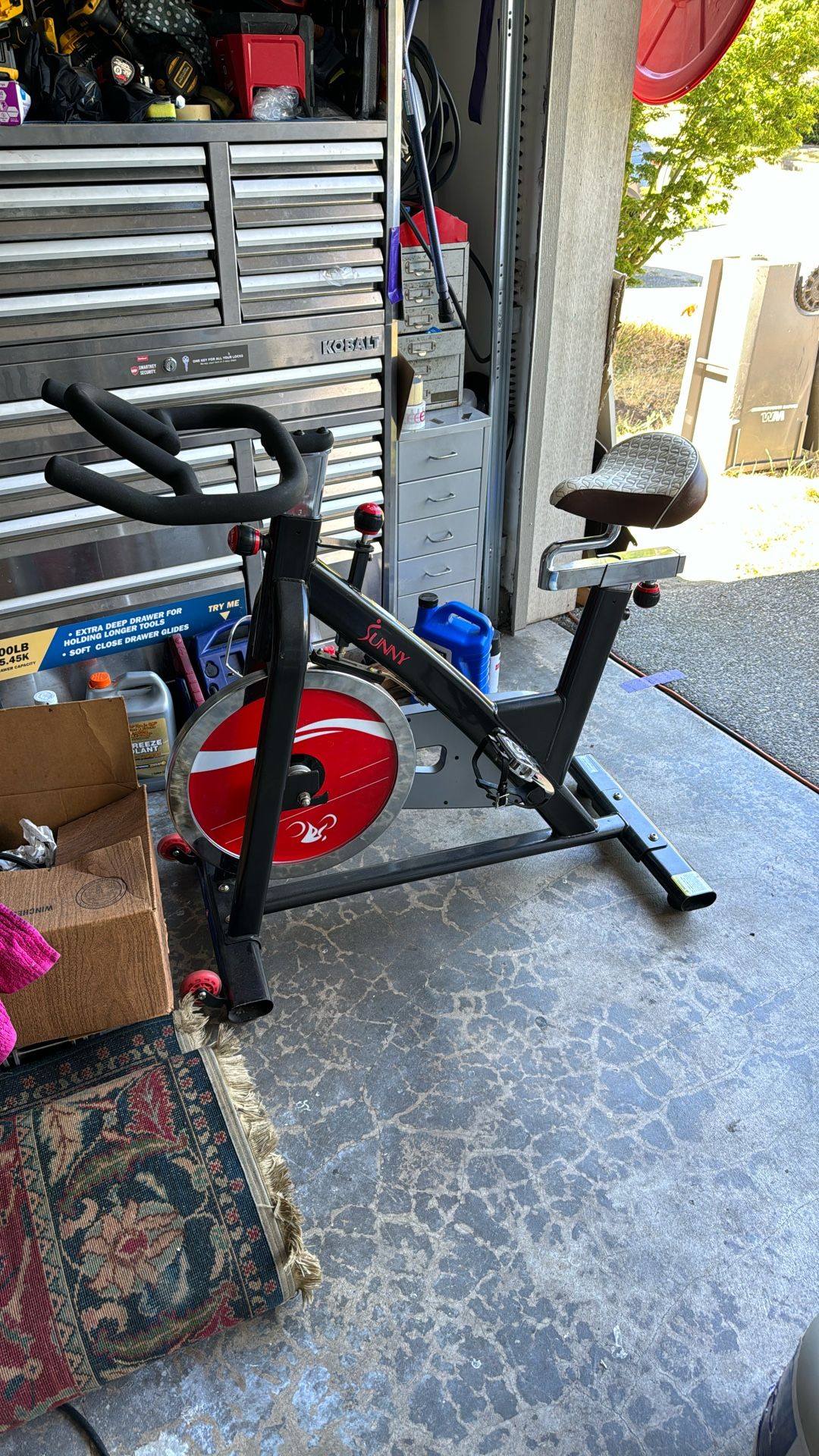 Sunny Exercise Bike