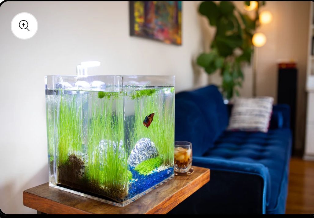 NoClean 5 Gallon Fish Tank With Accessories