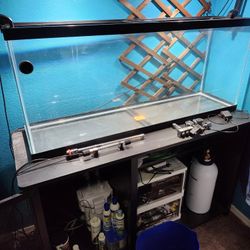 55 Gallon Fish Tank
