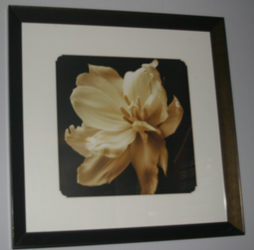 🌼 Framed Floral Art Prints – Daffodils & Daisies
