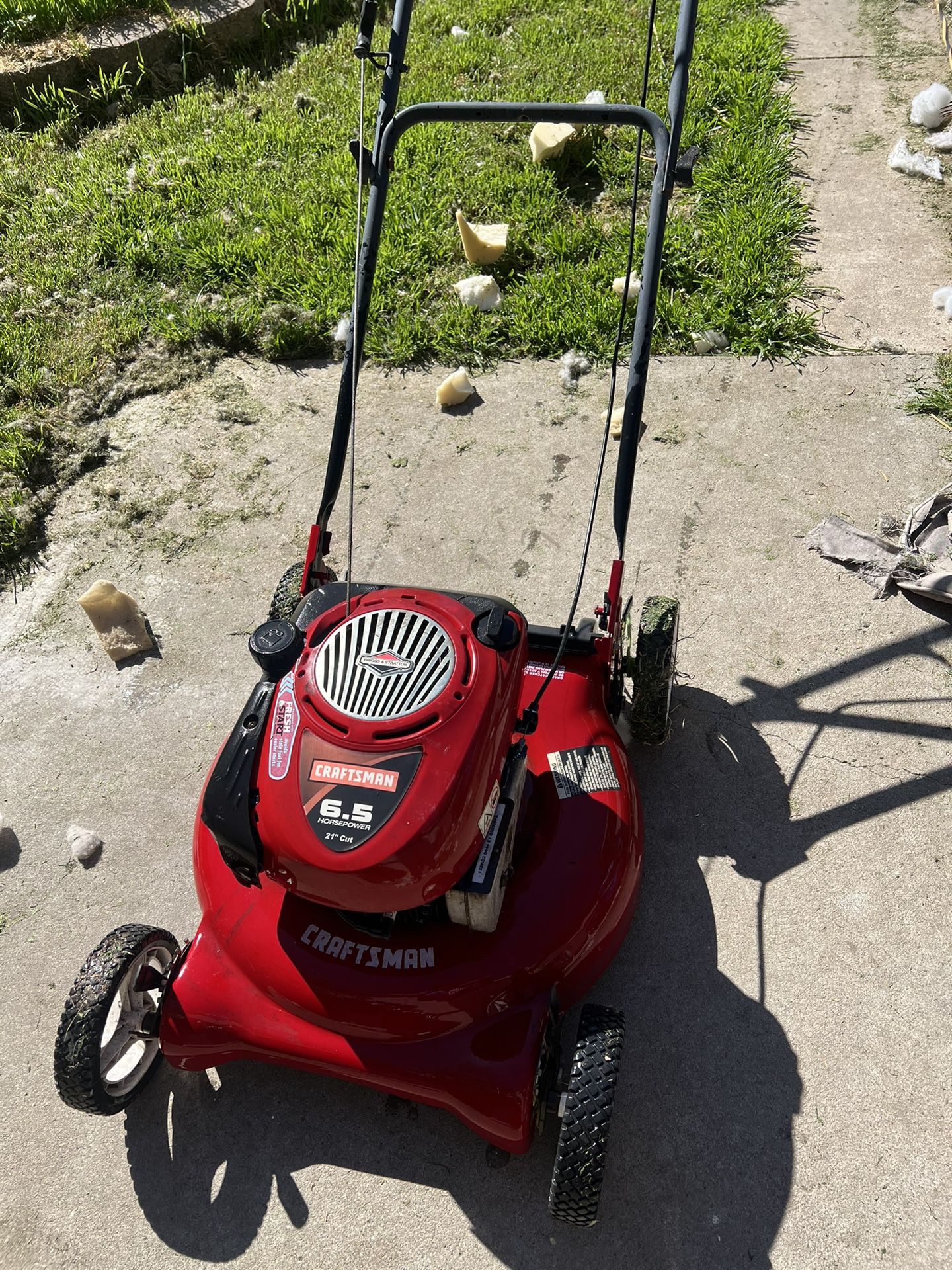 Lawn Mower Mechanic Special
