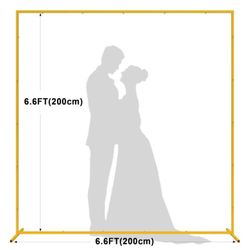 Party Arch Decor ( Brand New, Never Used ) For $45