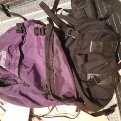 Coleman Hiking Back Pack