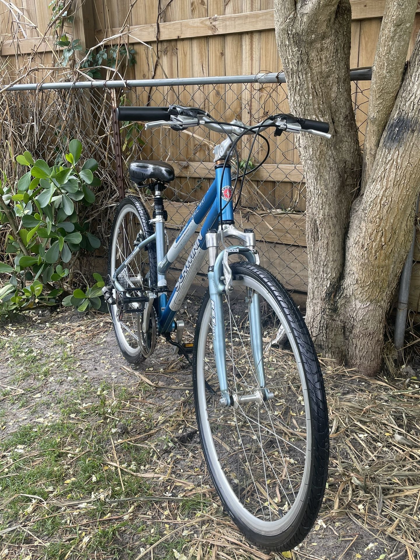 Beach Cruiser Bike Used Schwinn Hybrid Bike Cycling Ladies Giant Mountain Bike For Sale Bikes Tagged "colour__green" Beach Cruiser Bike Used Schwinn Hybrid Bike Cycling Ladies Giant Mountain Bike For Sale Bikes Tagged "colour__green"