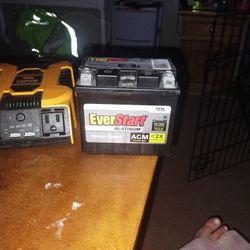 Batter Platinum 12 Volt
