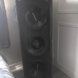 3 15's Inch Subs In A Pro Box