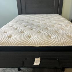 Replace Your Junk Mattress Today.