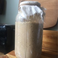 Rye Sourdough Starter