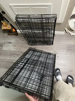 Dog Crate