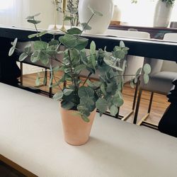 Hearth And Hand Eucalyptus Plant 