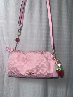 Faye coach bag