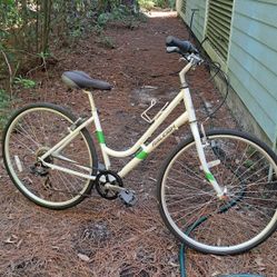 RALEIGH Detour 1 Ladies 20" Bike, Like New