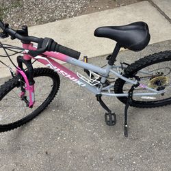 Nishiki Mountain Bike 24”