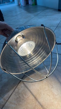 Brooder heat lamp