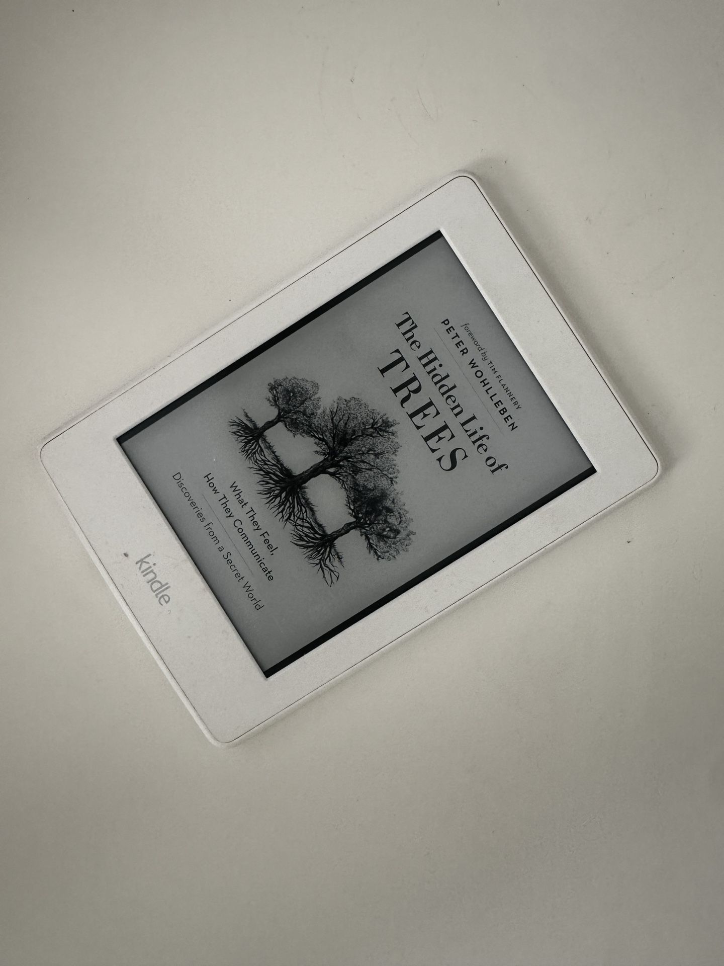 Amazon Kindle Paperwhite 7th Gen
