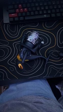 Roddy fishing reel