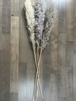 Crate&Barrel Pampas Grass