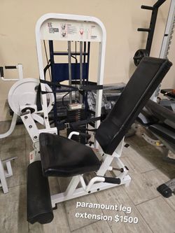 Paramount Leg Extension Gym Equipment Exercise Fitness Weight Machine