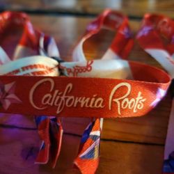 6 CALIROOTS WRIST BANDS FOR SALE** LAST DAY**