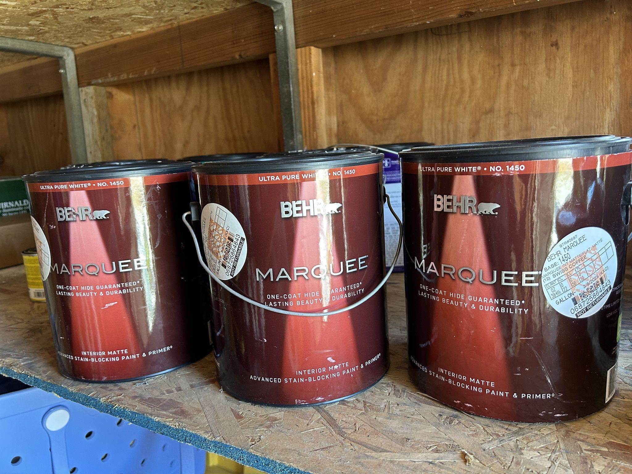 BEHR Paint