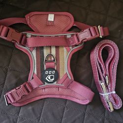Dog leash with harness size small.