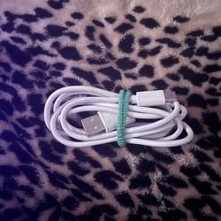 Type C Charger 