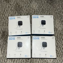 Blink Mini