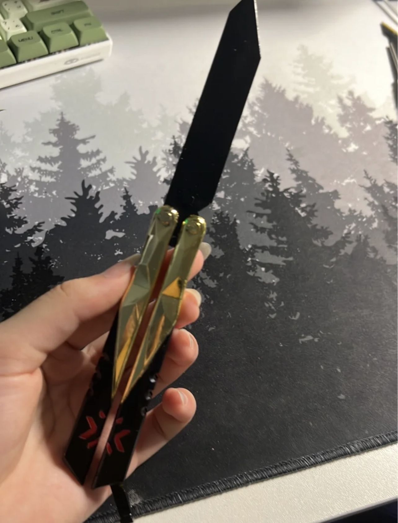 Valorant champions Butterfly (NO BLADE, NOT SHARP)