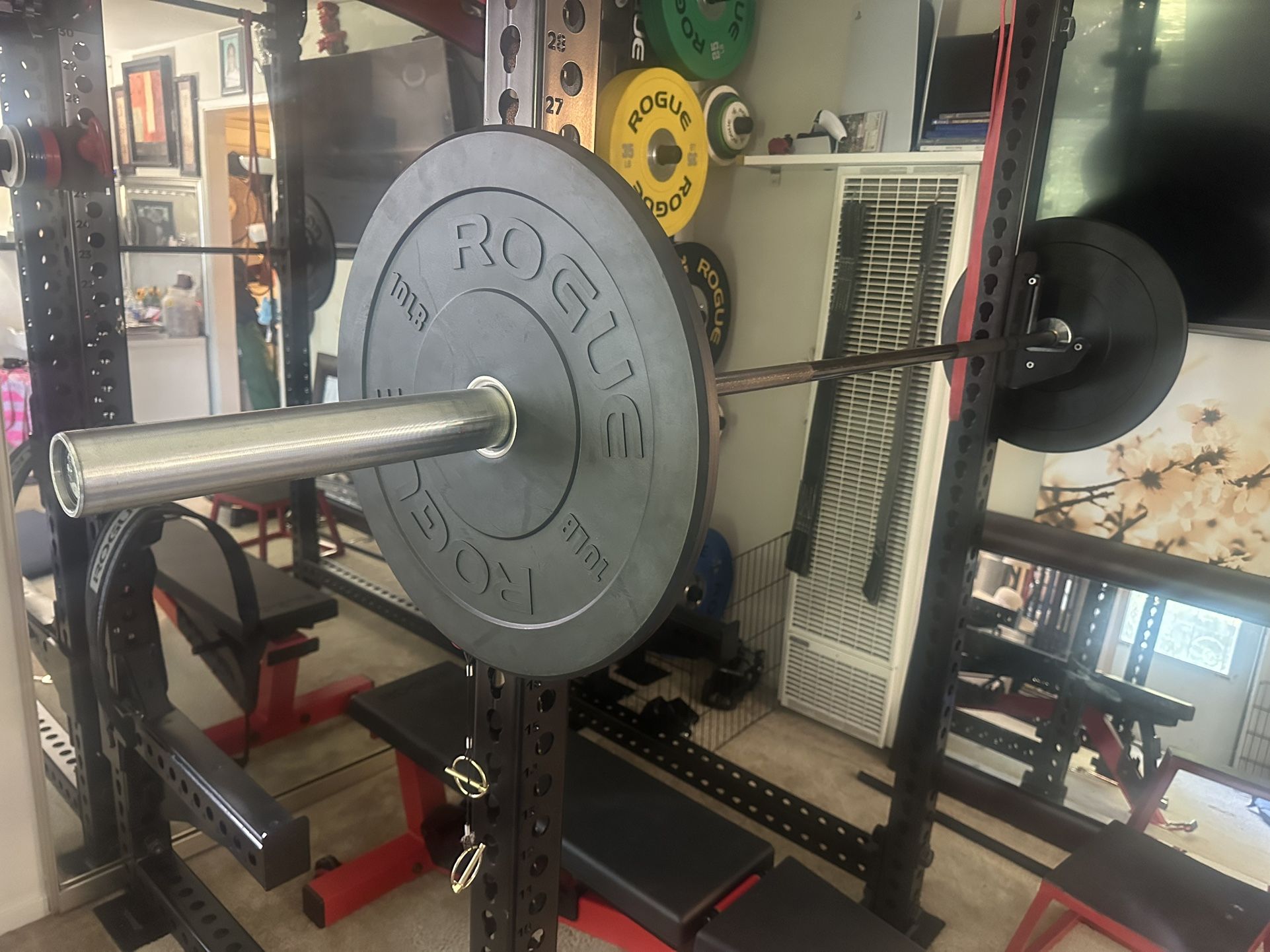 ROGIE BELLA BAR ,2- 10 LBS BUMPER PLATES AND MINI JACK