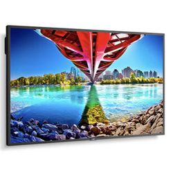 DIGITAL SIGNAL DISPLAY 55” 