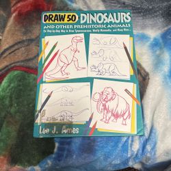 Dinosaur Drawing Book