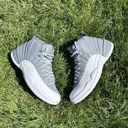 Jordan 12 Stealth