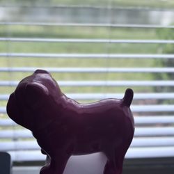 Red Bull Dog 