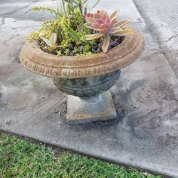 Decorative Planted Concrete Garden Piece