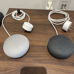 2 Google Home Minis