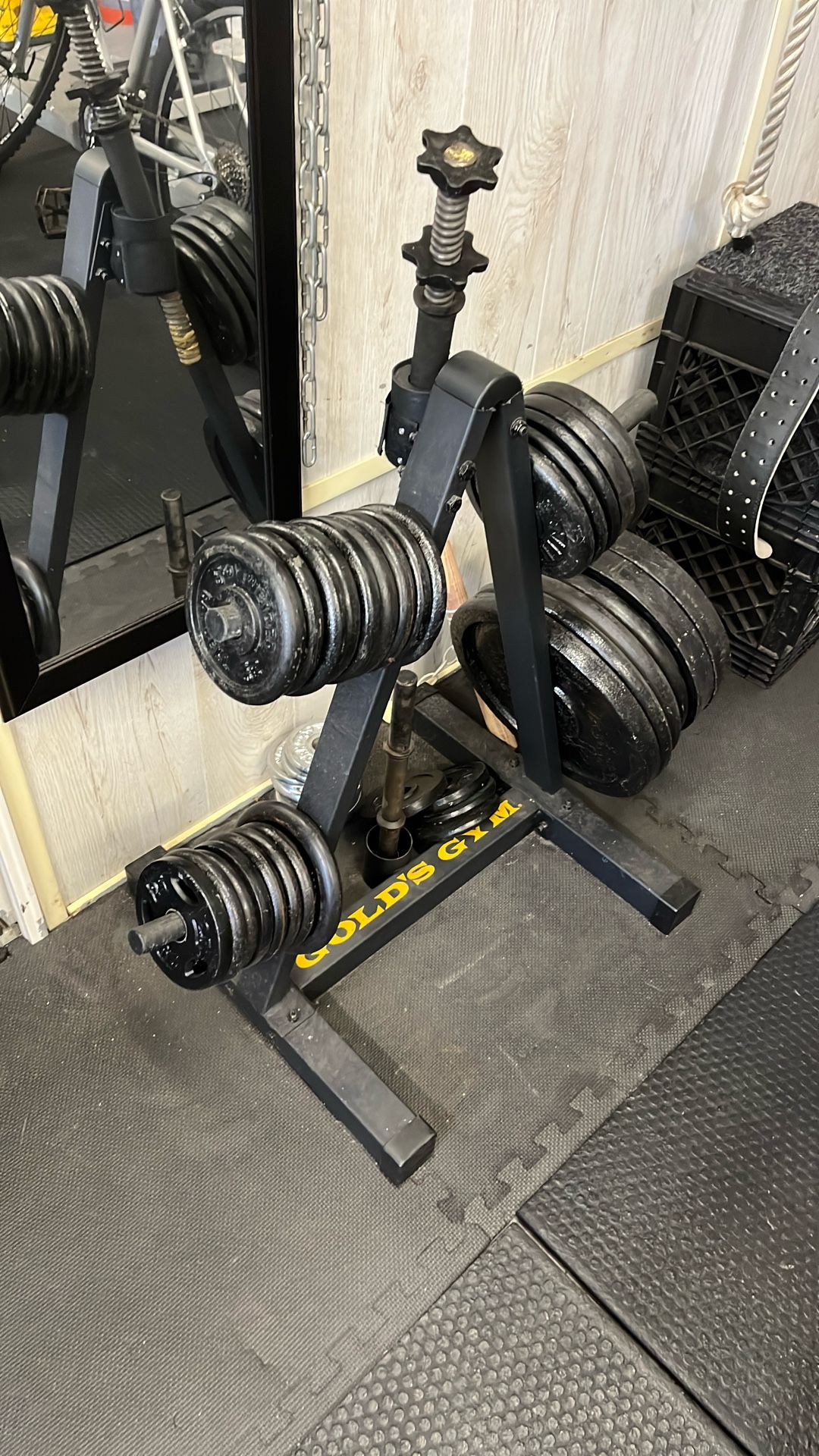Weights  & Bars