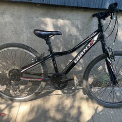 Giant Revel 24″ Youth Mountain Bike 