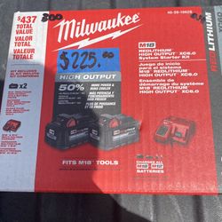 Milwaukee battery and charger kit 
