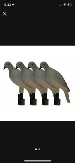 Dove Decoys