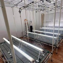 LED Under Canopy Faven Clone 