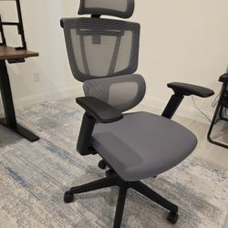 Flexispot C7 Ergonomic Chair