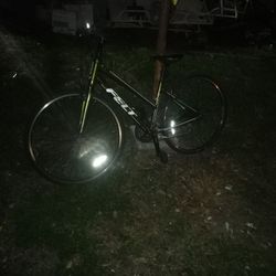 Verza Speed Felt Bike