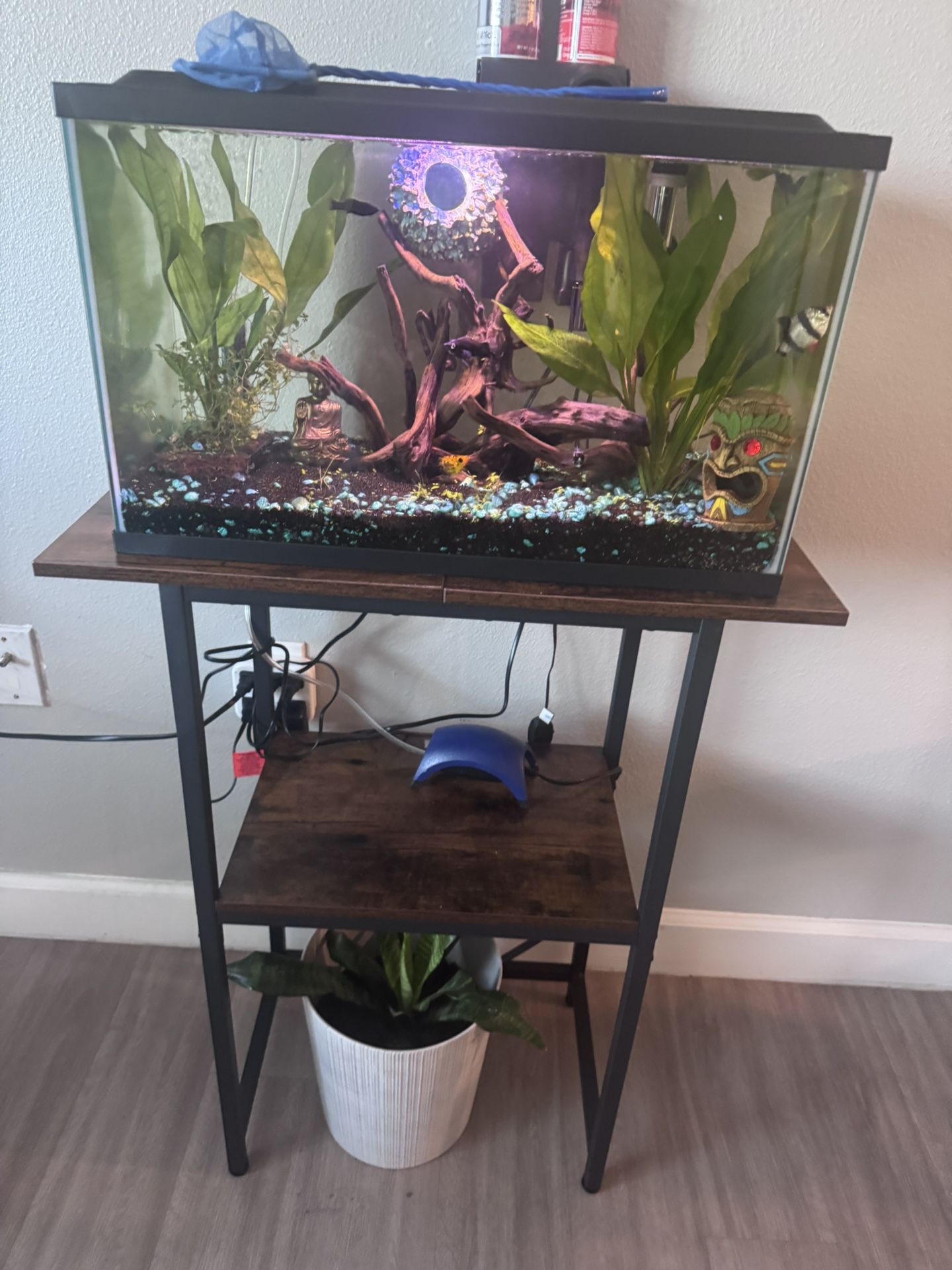 Fish Tank & Stand 