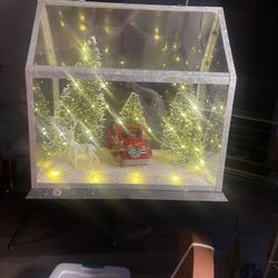 Christmas Light Up Decorative 